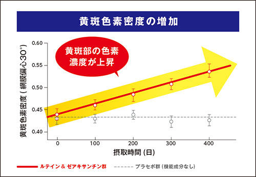 Ffx̑