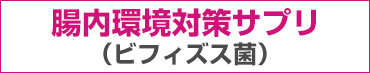 腸内環境対策サプリ　ビフィズス菌