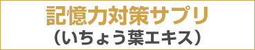 記憶力対策サプリ　いちょう葉エキス