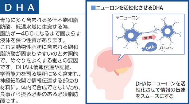 DHA@ɑ܂܂鑽sOab_BቷɐׁAb-45ɂȂ܂Ōł܂炸t̂ۂ܂B͓bɊ܂܂Oab_ł܂₷̂ƑΏƓIŁA߂悭铭̗vłBDHA͏`BLAwK\͂iꏊɑ܂܂A_oזEԂŏ`B镔ʂ̍ޗɁB̓ōłȂ߁AHۂKv̂K{b_łB