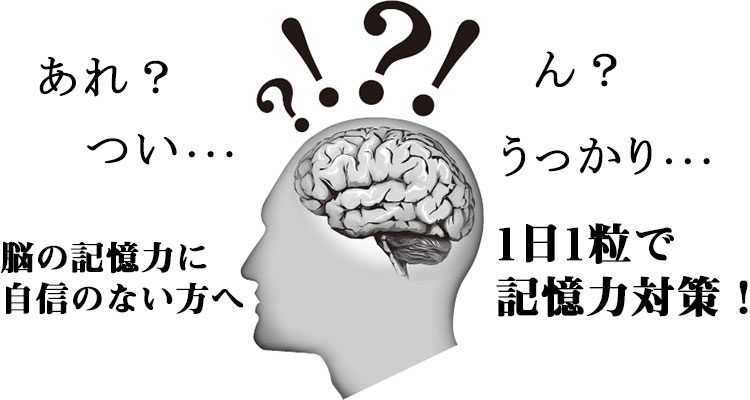 インシップ初　機能性表示食品登場　脳の記憶力を助ける効果が認められるいちょう葉エキス